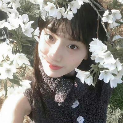 马里布高中 在线观看
